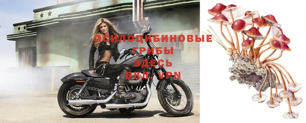 трава Заволжье