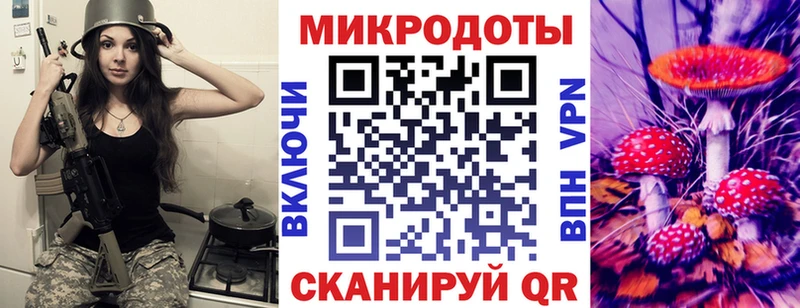 Купить где  Гвардейск  Галлюциногенные грибы Psilocybine cubensis 